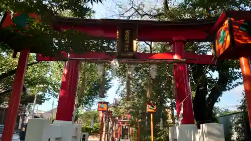 塚越稲荷神社の鳥居