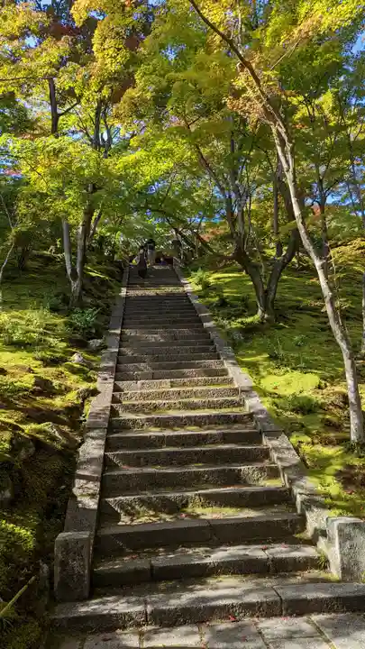 常寂光寺(京都府)