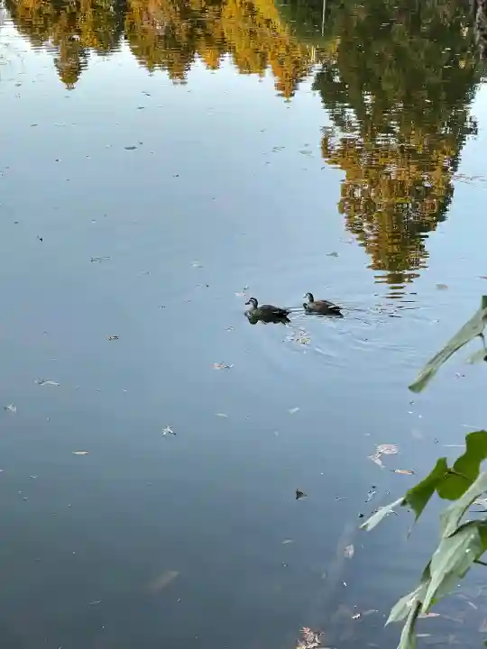 大神神社の{uncategorized: "未分類", other: "その他", undefined: "問題あり", building: "その他建物", grave: "お墓", sacred_gate: "鳥居", guardian: "狛犬", statue: "像", buddha: "仏像", history: "歴史", nature: "自然", garden: "庭園", animal: "動物", pagoda: "塔", temizu: "手水舎", mountain_gate: "山門・神門", sanctuary: "本殿・本堂", subordinate: "末社・摂社", art: "芸術", scenery: "景色", jizo: "地蔵", ema: "絵馬", goshuin: "御朱印", omikuji: "おみくじ", items: "授与品その他", amulet: "お守り", goshuincho: "御朱印帳", eats: "食事", festival: "お祭り", votive_dance: "神楽", shichigosan: "七五三参", wedding: "結婚式", experience: "体験その他", initially: "初詣", around: "周辺", anti_infection: "感染症対策"}