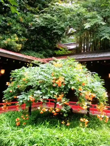 代々木八幡宮(東京都)