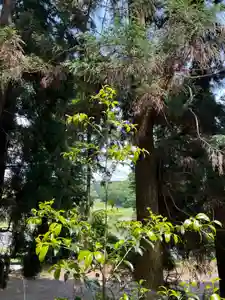 大宮温泉神社(栃木県)(2023年05月27日(土) 17時30分13秒投稿)