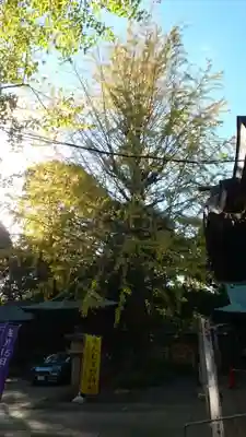 渋谷氷川神社(東京都)