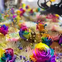 札幌諏訪神社の手水舎