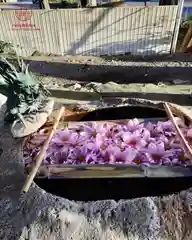 立志神社(滋賀県)