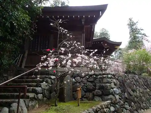 飛鳥坐神社の本殿