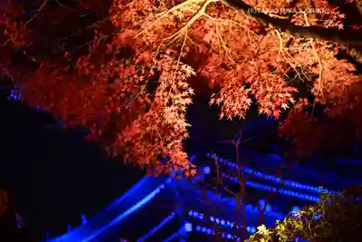 長谷寺のお祭り