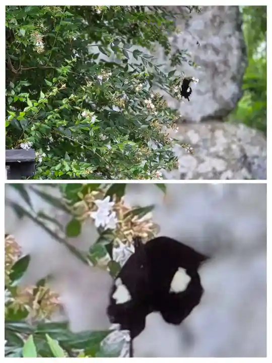 天宮神社(静岡県)