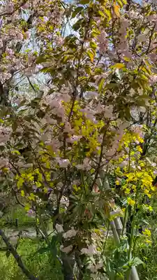 平野神社(京都府)