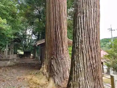 志波加神社の{uncategorized: "未分類", other: "その他", undefined: "問題あり", building: "その他建物", grave: "お墓", sacred_gate: "鳥居", guardian: "狛犬", statue: "像", buddha: "仏像", history: "歴史", nature: "自然", garden: "庭園", animal: "動物", pagoda: "塔", temizu: "手水舎", mountain_gate: "山門・神門", sanctuary: "本殿・本堂", subordinate: "末社・摂社", art: "芸術", scenery: "景色", jizo: "地蔵", ema: "絵馬", goshuin: "御朱印", omikuji: "おみくじ", items: "授与品その他", amulet: "お守り", goshuincho: "御朱印帳", eats: "食事", festival: "お祭り", votive_dance: "神楽", shichigosan: "七五三参", wedding: "結婚式", experience: "体験その他", initially: "初詣", around: "周辺", anti_infection: "感染症対策"}