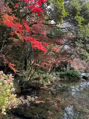 富士山本宮浅間大社の庭園