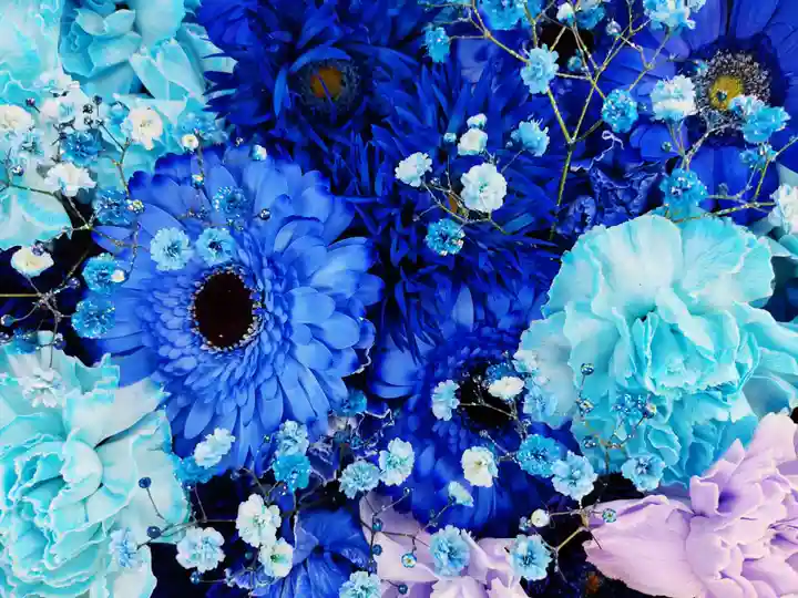 彌都加伎神社の手水舎