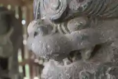 川口神社の狛犬