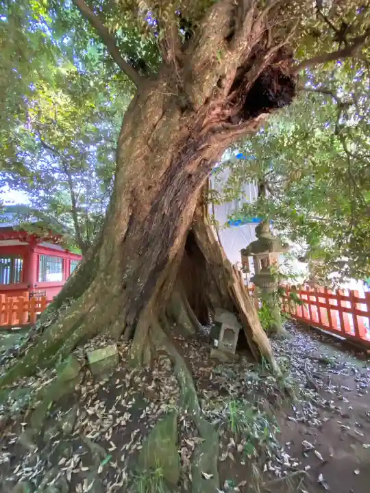 香取神宮(千葉県)