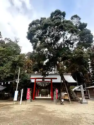 賀茂神社の{uncategorized: "未分類", other: "その他", undefined: "問題あり", building: "その他建物", grave: "お墓", sacred_gate: "鳥居", guardian: "狛犬", statue: "像", buddha: "仏像", history: "歴史", nature: "自然", garden: "庭園", animal: "動物", pagoda: "塔", temizu: "手水舎", mountain_gate: "山門・神門", sanctuary: "本殿・本堂", subordinate: "末社・摂社", art: "芸術", scenery: "景色", jizo: "地蔵", ema: "絵馬", goshuin: "御朱印", omikuji: "おみくじ", items: "授与品その他", amulet: "お守り", goshuincho: "御朱印帳", eats: "食事", festival: "お祭り", votive_dance: "神楽", shichigosan: "七五三参", wedding: "結婚式", experience: "体験その他", initially: "初詣", around: "周辺", anti_infection: "感染症対策"}