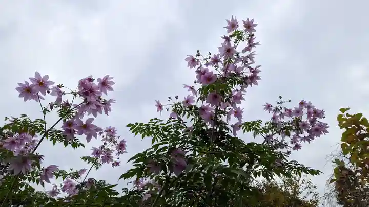 惠心院(京都府)