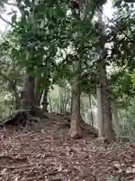 御嶽神社(千葉県)