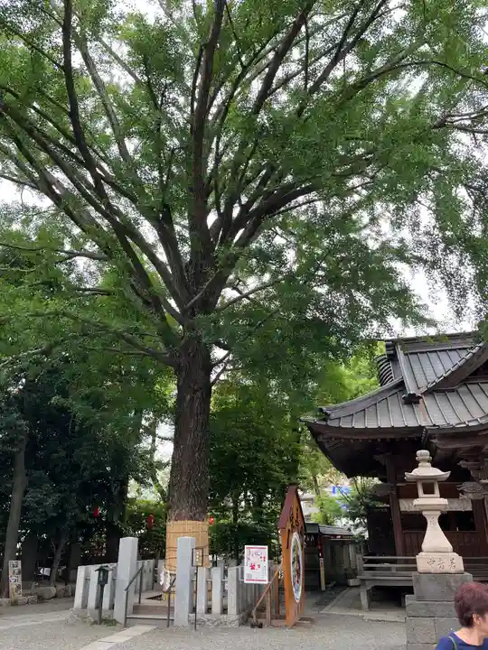 田無神社(東京都)