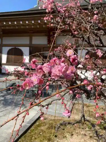 妙法寺(佐賀県)