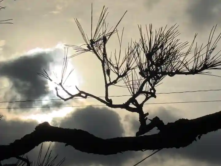 西方山極楽寺(岐阜県)