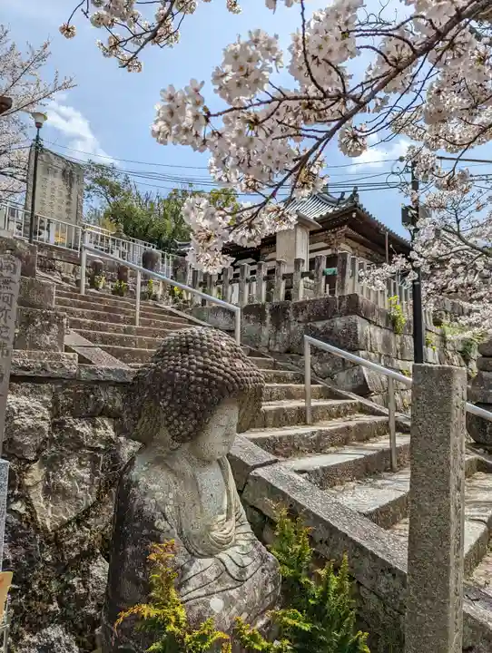 くろ谷 金戒光明寺(京都府)