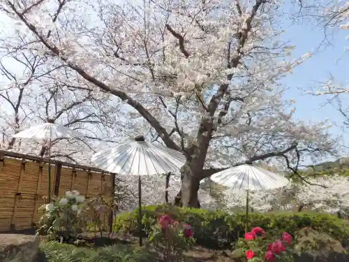 鶴岡八幡宮の{uncategorized: "未分類", other: "その他", undefined: "問題あり", building: "その他建物", grave: "お墓", sacred_gate: "鳥居", guardian: "狛犬", statue: "像", buddha: "仏像", history: "歴史", nature: "自然", garden: "庭園", animal: "動物", pagoda: "塔", temizu: "手水舎", mountain_gate: "山門・神門", sanctuary: "本殿・本堂", subordinate: "末社・摂社", art: "芸術", scenery: "景色", jizo: "地蔵", ema: "絵馬", goshuin: "御朱印", omikuji: "おみくじ", items: "授与品その他", amulet: "お守り", goshuincho: "御朱印帳", eats: "食事", festival: "お祭り", votive_dance: "神楽", shichigosan: "七五三参", wedding: "結婚式", experience: "体験その他", initially: "初詣", around: "周辺", anti_infection: "感染症対策"}