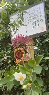 明月院(神奈川県)