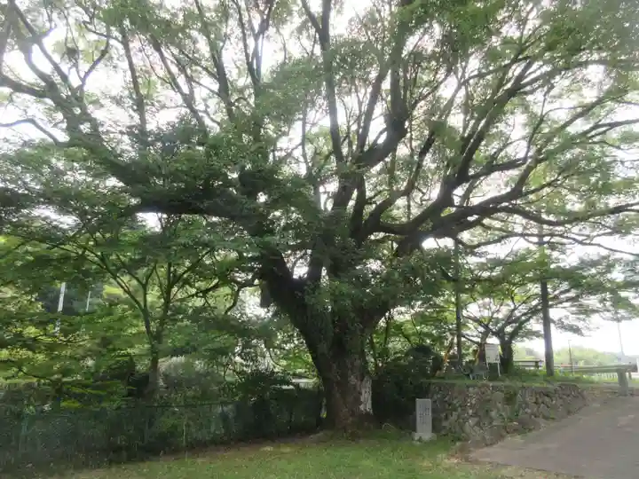 瀧山寺(愛知県)