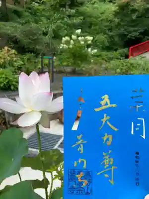 『葉月』
『風鈴』