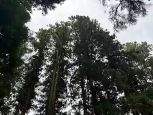 大宮温泉神社(栃木県)(2023年08月12日(土) 08時12分33秒投稿)