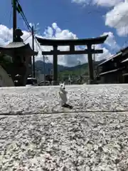 武水別神社(長野県)