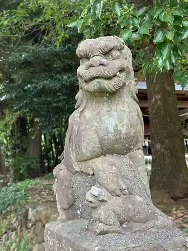 東中野熊野神社の狛犬