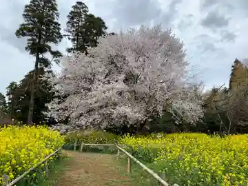 小鷹神社(千葉県)