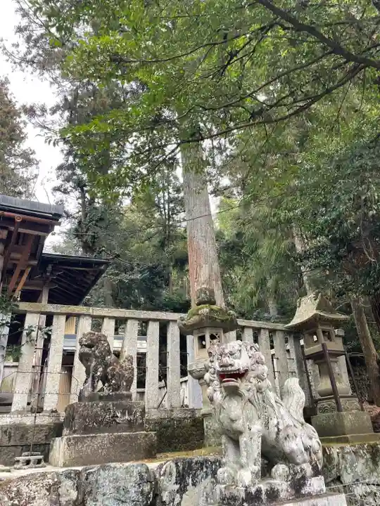 天鷹神社(岐阜県)