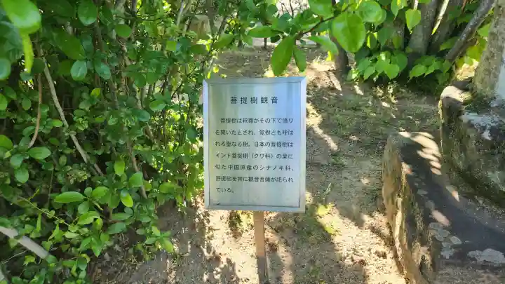 円通寺の{uncategorized: "未分類", other: "その他", undefined: "問題あり", building: "その他建物", grave: "お墓", sacred_gate: "鳥居", guardian: "狛犬", statue: "像", buddha: "仏像", history: "歴史", nature: "自然", garden: "庭園", animal: "動物", pagoda: "塔", temizu: "手水舎", mountain_gate: "山門・神門", sanctuary: "本殿・本堂", subordinate: "末社・摂社", art: "芸術", scenery: "景色", jizo: "地蔵", ema: "絵馬", goshuin: "御朱印", omikuji: "おみくじ", items: "授与品その他", amulet: "お守り", goshuincho: "御朱印帳", eats: "食事", festival: "お祭り", votive_dance: "神楽", shichigosan: "七五三参", wedding: "結婚式", experience: "体験その他", initially: "初詣", around: "周辺", anti_infection: "感染症対策"}