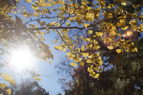 氣比神宮(福井県)