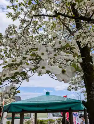 湯坐神社 (薬師神社)(山形県)