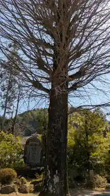 誕生寺(岡山県)