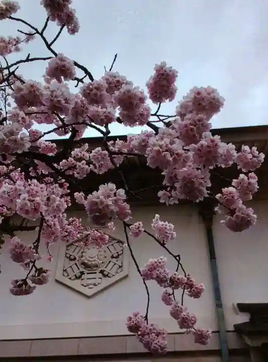 靖國神社(東京都)