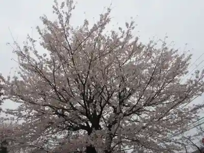 東光寺(神奈川県)