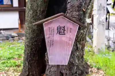 平野神社(京都府)