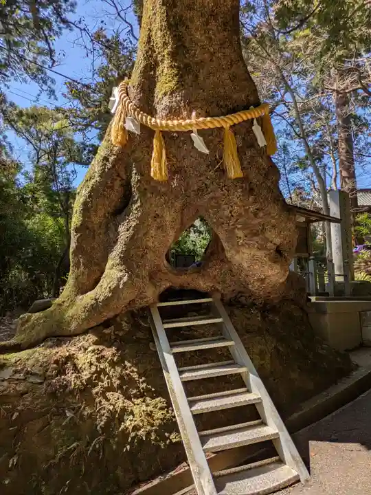 笠森寺(千葉県)