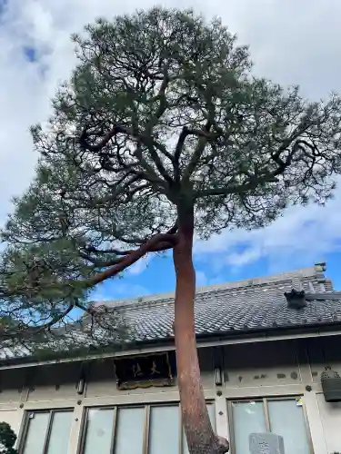 大法寺(東京都)