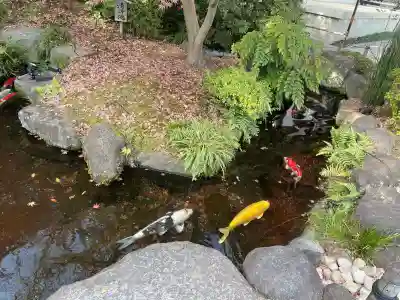長谷寺の{uncategorized: "未分類", other: "その他", undefined: "問題あり", building: "その他建物", grave: "お墓", sacred_gate: "鳥居", guardian: "狛犬", statue: "像", buddha: "仏像", history: "歴史", nature: "自然", garden: "庭園", animal: "動物", pagoda: "塔", temizu: "手水舎", mountain_gate: "山門・神門", sanctuary: "本殿・本堂", subordinate: "末社・摂社", art: "芸術", scenery: "景色", jizo: "地蔵", ema: "絵馬", goshuin: "御朱印", omikuji: "おみくじ", items: "授与品その他", amulet: "お守り", goshuincho: "御朱印帳", eats: "食事", festival: "お祭り", votive_dance: "神楽", shichigosan: "七五三参", wedding: "結婚式", experience: "体験その他", initially: "初詣", around: "周辺", anti_infection: "感染症対策"}
