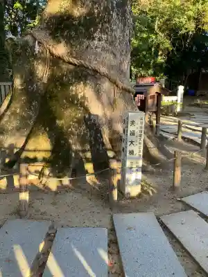 伊弉諾神宮(兵庫県)