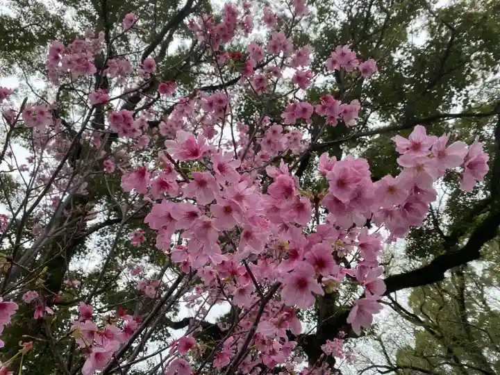美奈宜神社(福岡県)