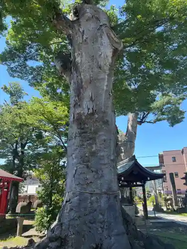 科野大宮社(長野県)