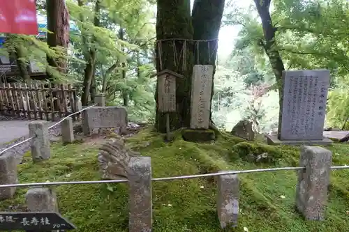 正法寺の自然