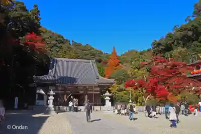 瀧安寺(大阪府)