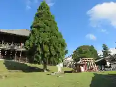 東大寺の建物その他