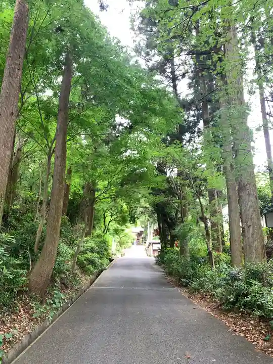 冨賀寺(愛知県)